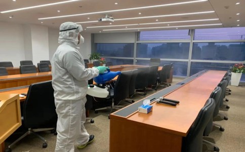 专家推荐：白蚁灭除方法全解析，让家更安全