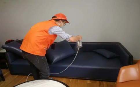 上海白蚁成灾遭侵袭，专业灭蚁服务及白蚁防治费用咋算？