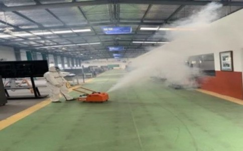 上海惊现大量白蚁！教你防治方法，认清白蚁和蚂蚁区别