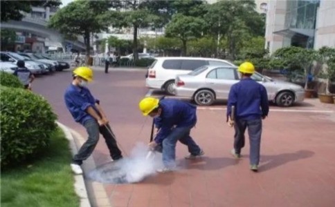 天气闷热引关注！杭州漫天飞舞的白蚁是啥？如何防治？