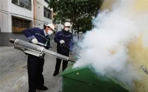 白蚁防治工程全攻略：如何有效阻止白蚁侵害您的家园？