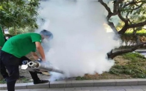 白蚁灭杀全攻略：市场上最强的防治药物大解析