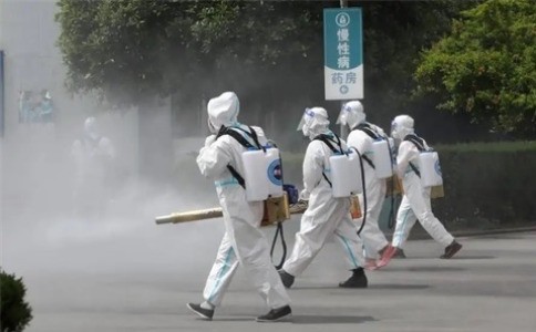 如何彻底根治白蚁？专家教你有效防治方法