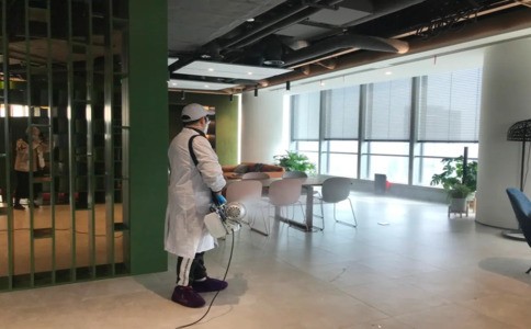发现白蚁？立刻联系专业防治公司，避免财产损失！