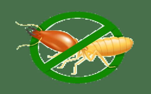 灭白蚁用什么药效果好_灭白蚁的方法_灭白蚁方法就是和用药