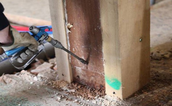 家里发现白蚁怎么办？房屋防治白蚁处理方法