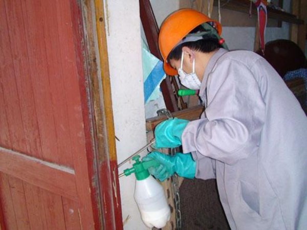 灭白蚁自己动手更省钱，百元左右就能搞定