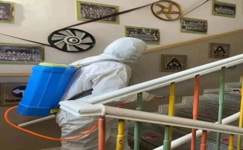 从上门勘察到售后复检:上海灭白蚁合作完整注意事项-3